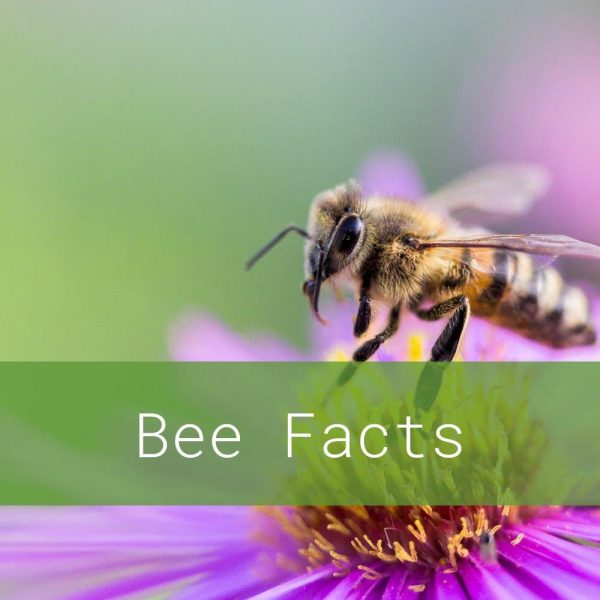 Did you know? | Gardening Gone Wild