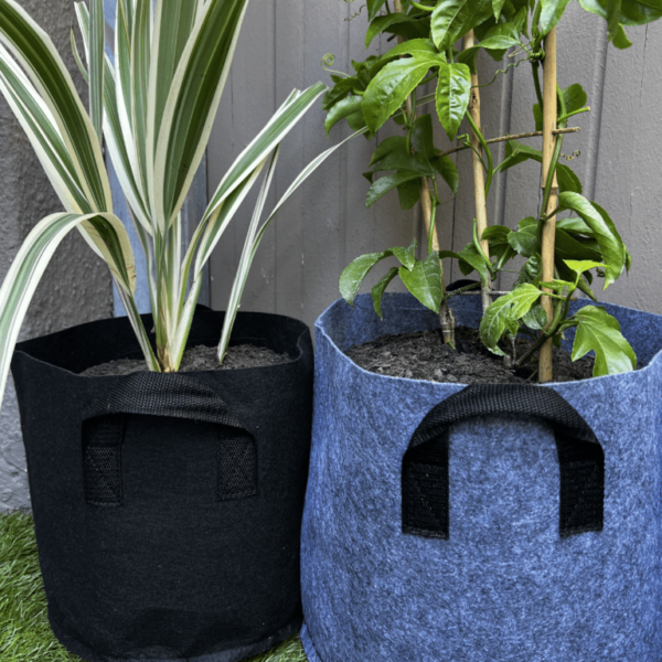 Grow bags are available in black and grey