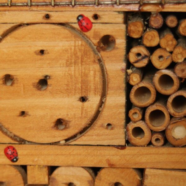 Insect hotel close up view